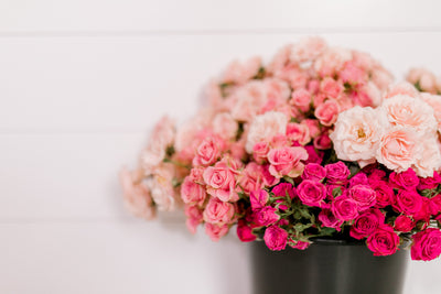 What's In The Bucket: Our 5 Favorite Blooms This Week